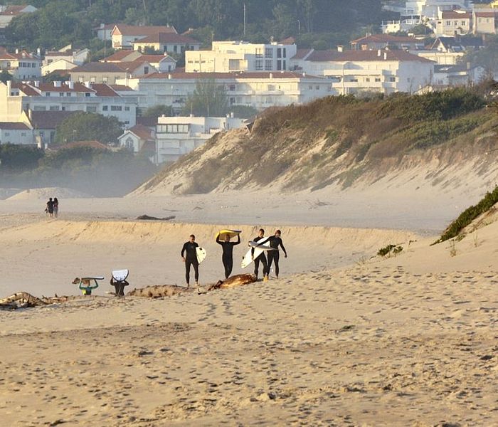 Surfing Portugal